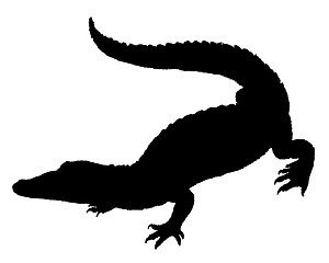 Image showing Crocodile Silhouette