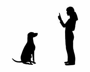 Image showing Dog training (obedience): command: sit