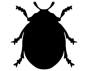 Image showing Ladybird silhouette