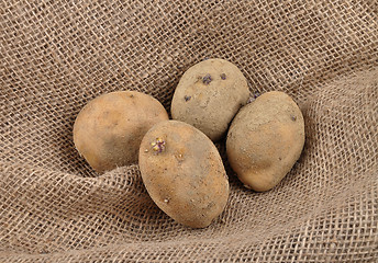 Image showing Potatoes on jute