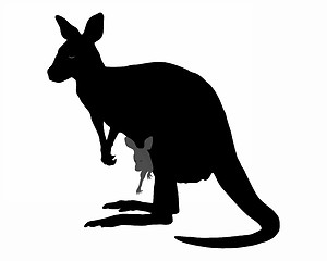 Image showing Kangaroo with baby