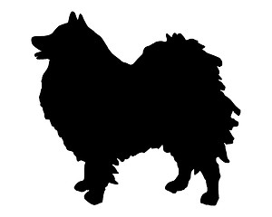 Image showing The black silhouette of a German Spitz