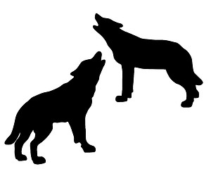 Image showing Howling wolves