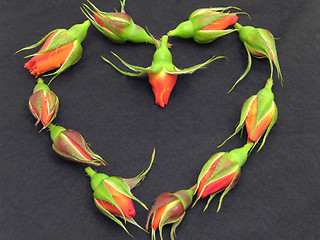 Image showing Rose buds arranged as heart on black felt