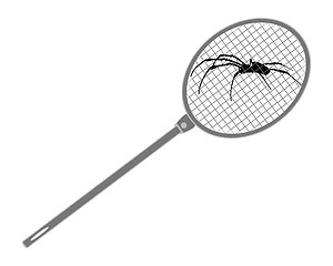 Image showing The illustration of a fly swat above spider