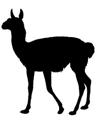 Image showing Guanaco Silhouette