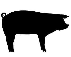 Image showing Pig silhouette