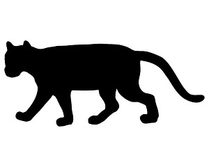 Image showing Cougar silhouette