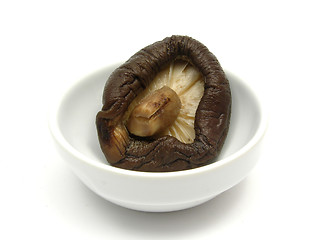 Image showing Shiitake in a little bowl of chinaware on white 