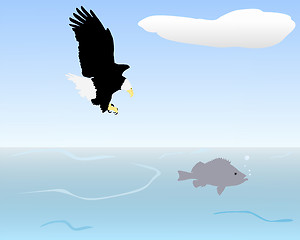 Image showing Bird of prey fishing