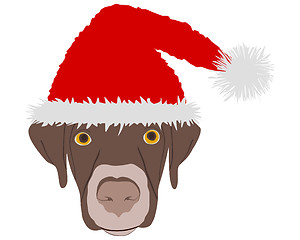 Image showing Laughing dog with red santa claus caps