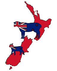 Image showing Sheeps of New Zealand