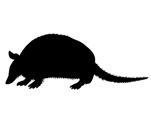 Image showing Armadillo Silhouette