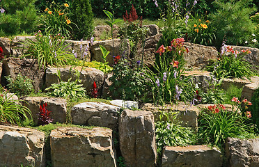 Image showing Flowering garden on stones