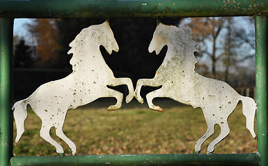 Image showing Horse theme