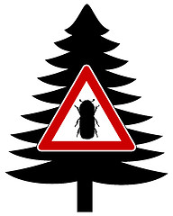 Image showing Bark-beetle attention sign