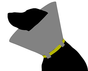 Image showing Dog with ruff