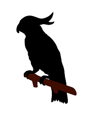 Image showing The black silhouette of a cockatoo on white