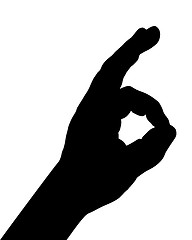 Image showing Finger signs