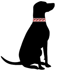 Image showing Dog with flea collar