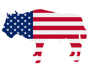 Image showing Buffalo in stars and stripes
