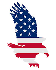 Image showing American bold eagle