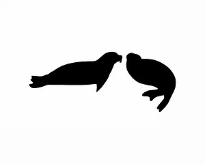 Image showing Two seals