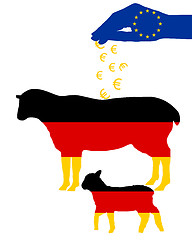Image showing German sheep and european subsidies
