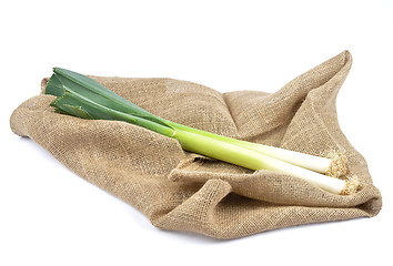 Image showing Leek on jute