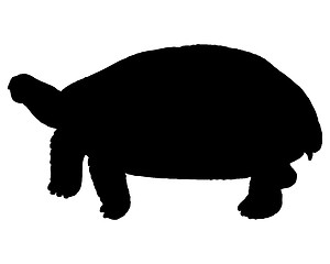 Image showing The black silhouette of a turtle 