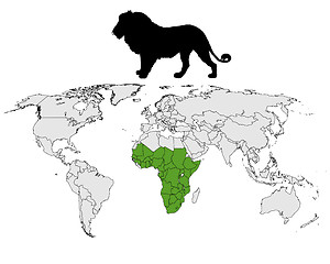Image showing Lion distribution