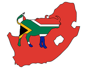Image showing South Africa buffalo 