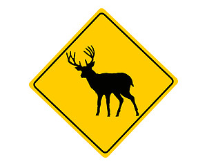 Image showing Deer warning sign