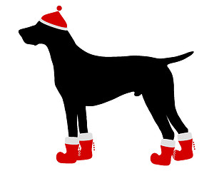Image showing German Shorthaired Pointer with red christmas cap and boots