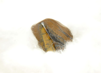 Image showing Tiger`eye on cotton