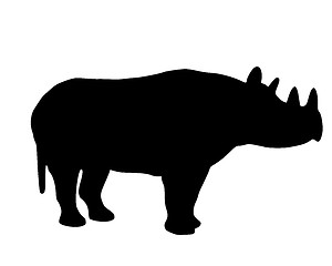 Image showing Black rhino