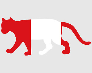 Image showing Cougar Peru