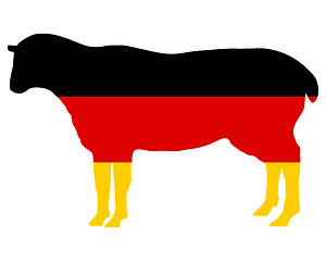 Image showing German sheep