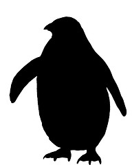 Image showing Penguin Silhouette