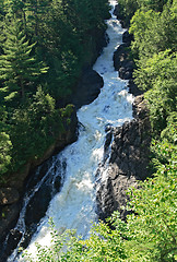 Image showing Mountain stream in the summer wood