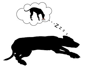 Image showing Dog dreams of feeding