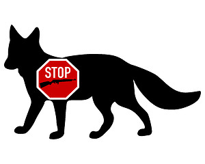 Image showing Stop shoot  fox