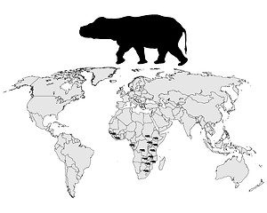 Image showing Hippo range