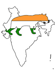 Image showing India tiger