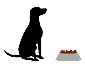 Image showing Dog feeding
