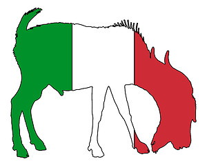 Image showing Italian he-goat