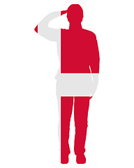 Image showing Danish Salute