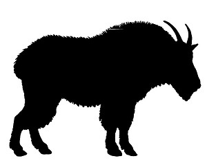 Image showing Mountain goat silhouette