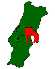 Image showing Portuguese he-goat