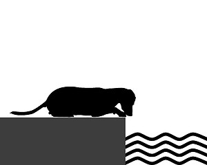 Image showing Dog at the shore